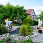 Evolution Aqua Nexus